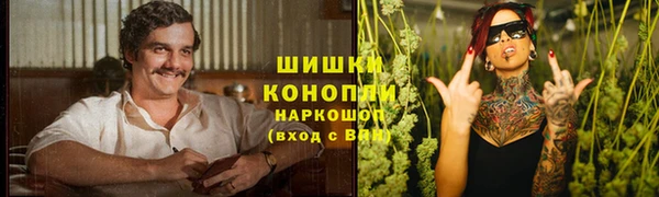 амф Костерёво