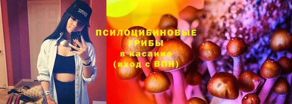 амф Костерёво
