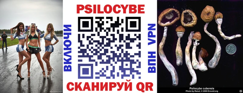 Купить закладки  Мещовск  Псилоцибиновые грибы GOLDEN TEACHER 